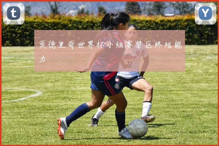 莫德里奇世界杯小组赛禁区终结能力