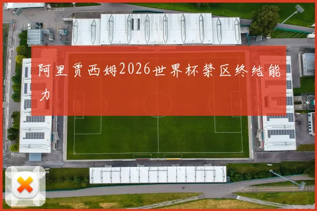 阿里贾西姆2026世界杯禁区终结能力