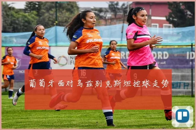 葡萄牙面对乌兹别克斯坦控球走势
