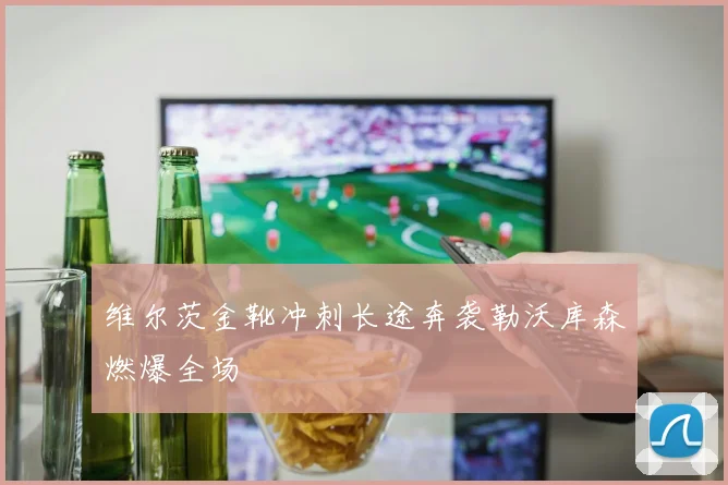 维尔茨金靴冲刺长途奔袭勒沃库森燃爆全场