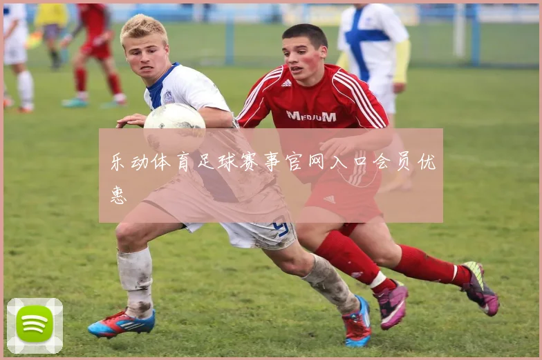 乐动体育足球赛事官网入口会员优惠